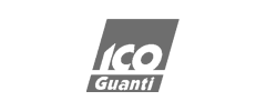 Ico Guanti