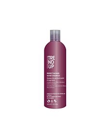 Shampoo PERFECT BLONDE SILVER per Biondi Perfetti - TREND UP - 300ml