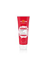 Trattamento Ravviva Colore - REFRESH MASK .6 RED - COLOR CARE - ALFAPARF - 250ml