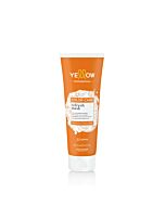 Trattamento Ravviva Colore - REFRESH MASK .4 COPPER - COLOR CARE - ALFAPARF - 250ml