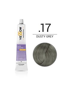 YELLOW COLOR Colorazione in Gel Tonificante - .17 DUSTY GREY - ALFAPARF - 100ml