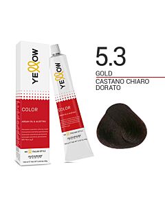 YELLOW COLOR Colorazione in Crema - 5.3 CASTANO CHIARO DORATO - ALFAPARF - 100ml