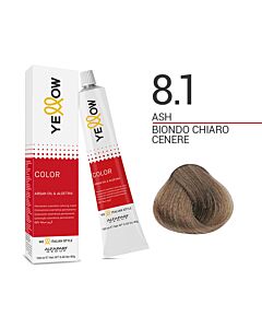 YELLOW COLOR Colorazione in Crema - 8.1 BIONDO CHIARO CENERE - ALFAPARF - 100ml